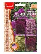 Семена цветов Трахелиум Lake Michigan Mix — для балкон — фото 4