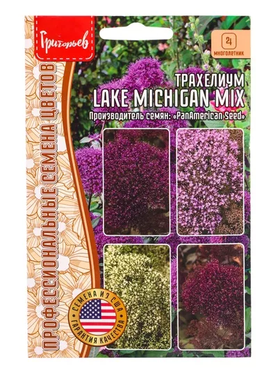 Семена цветов Трахелиум Lake Michigan Mix — для балкон — фото 6