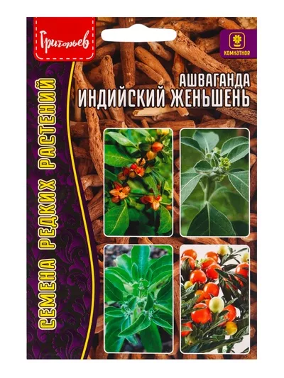 Семена цветов Ашваганда «Индийский Женьшень» — для балкон — фото 6