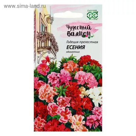 Семена цветов Годеция «Есения» — для балкон