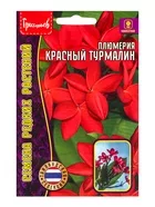 Семена цветов Плюмерия «Красный Турмалин» 3 шт. 12.2029 г — для балкон — фото 4