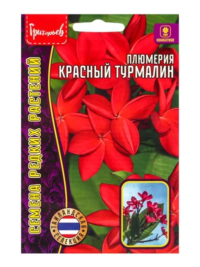 Семена цветов Плюмерия «Красный Турмалин» 3 шт. 12.2029 г — для балкон — фото 6