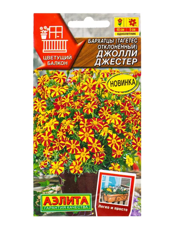 Семена Бархатцы Джолли Джестер для цветущего балкона — для балкон — фото 3