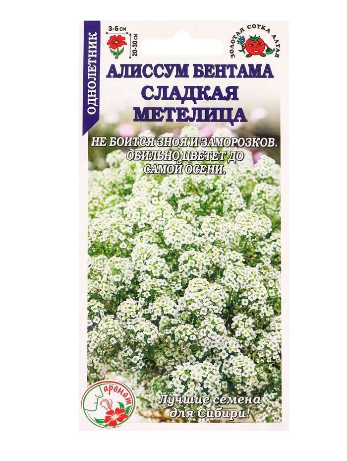 Семена Алиссум бентама «Сладкая метелица» — для балкон — фото 3