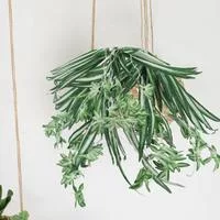 Поставка абсолютно новых деталей Подходящие Искусственные Хлорофитум Орхидея Украшения — для балкон — фото 2