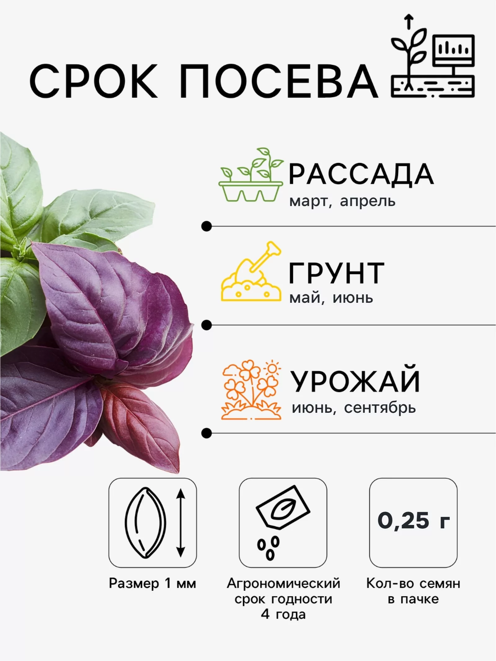 Семена Базилик «Цитрусовый Фреш» 0.25 г — для кухня — фото 2