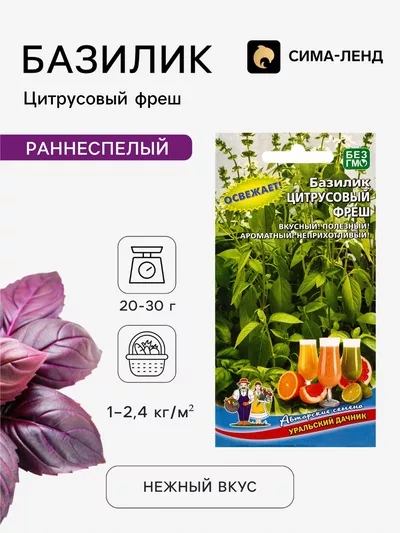 Семена Базилик «Цитрусовый Фреш» 0.25 г — для кухня — фото 6