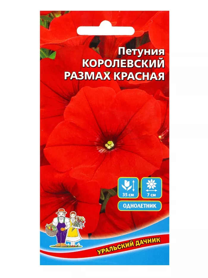 Семена Цветы Петуния «Королевский размах» красная — для балкон — фото 3