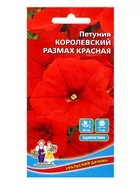 Семена Цветы Петуния «Королевский размах» красная — для балкон — фото 4