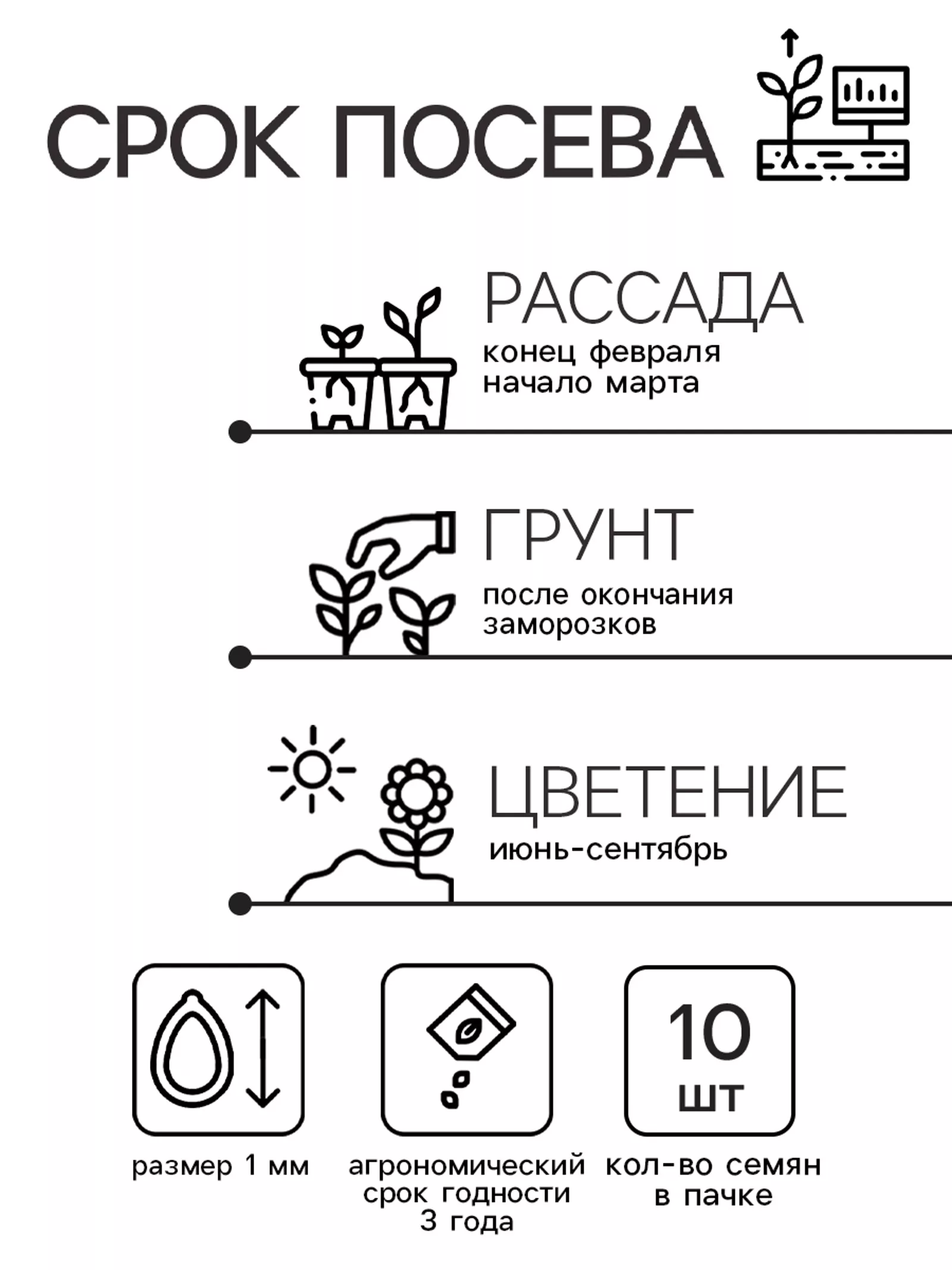 Семена цветов Катарантус Пацифика «Полька Дот» 10 шт. — для балкон — фото 2