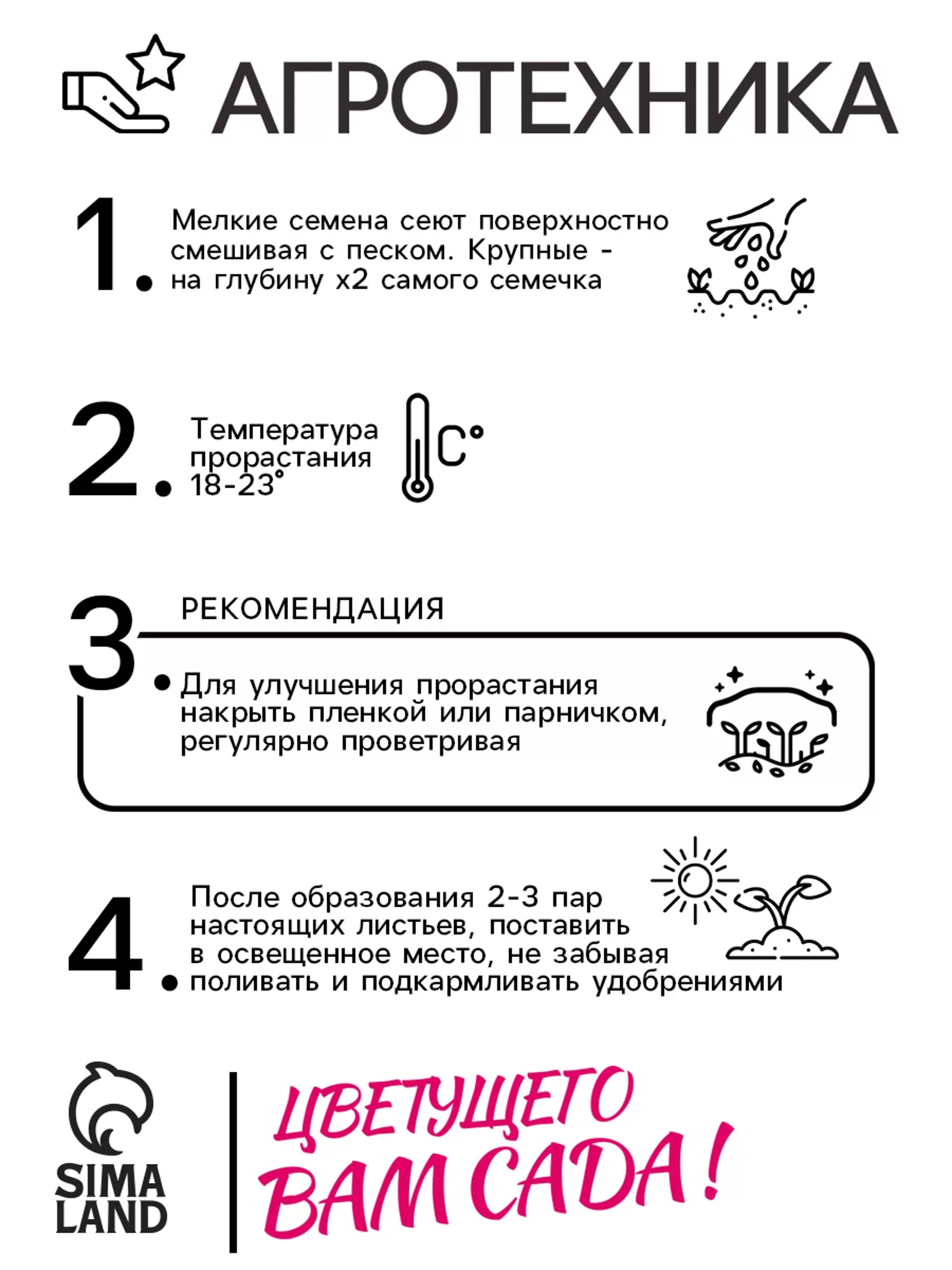 Семена цветов Катарантус Пацифика «Полька Дот» 10 шт. — для балкон — фото 4