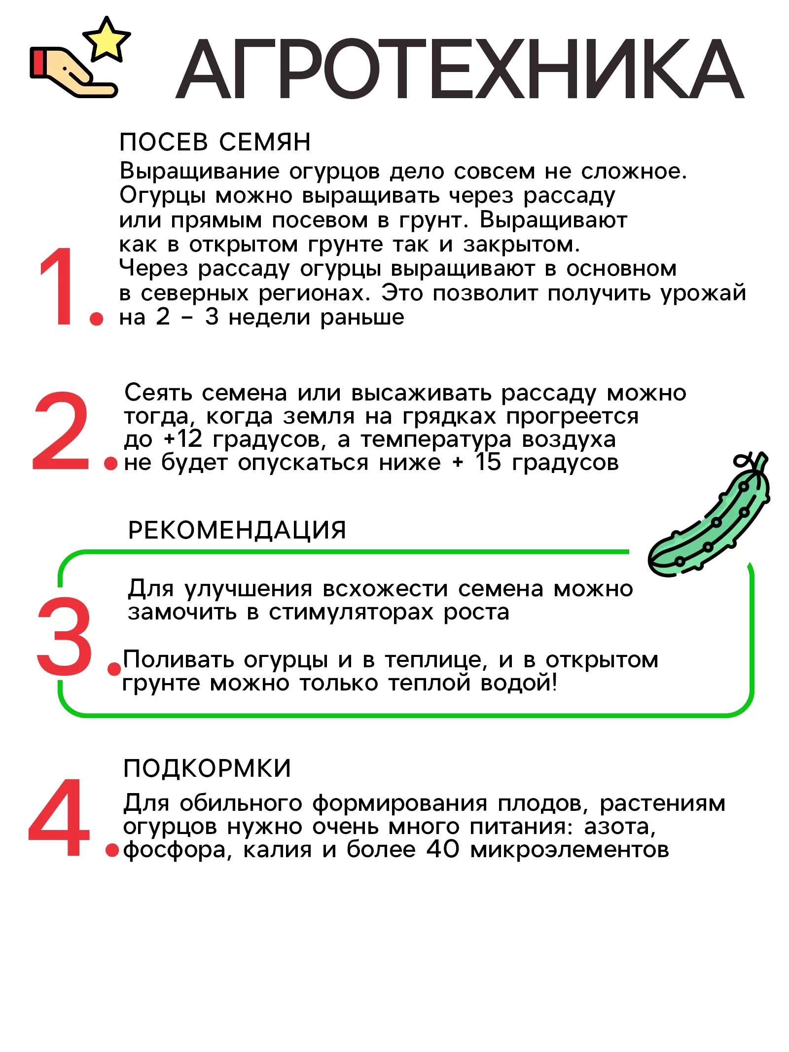 Семена Огурец «Сын полка F1» — для балкон — фото 4