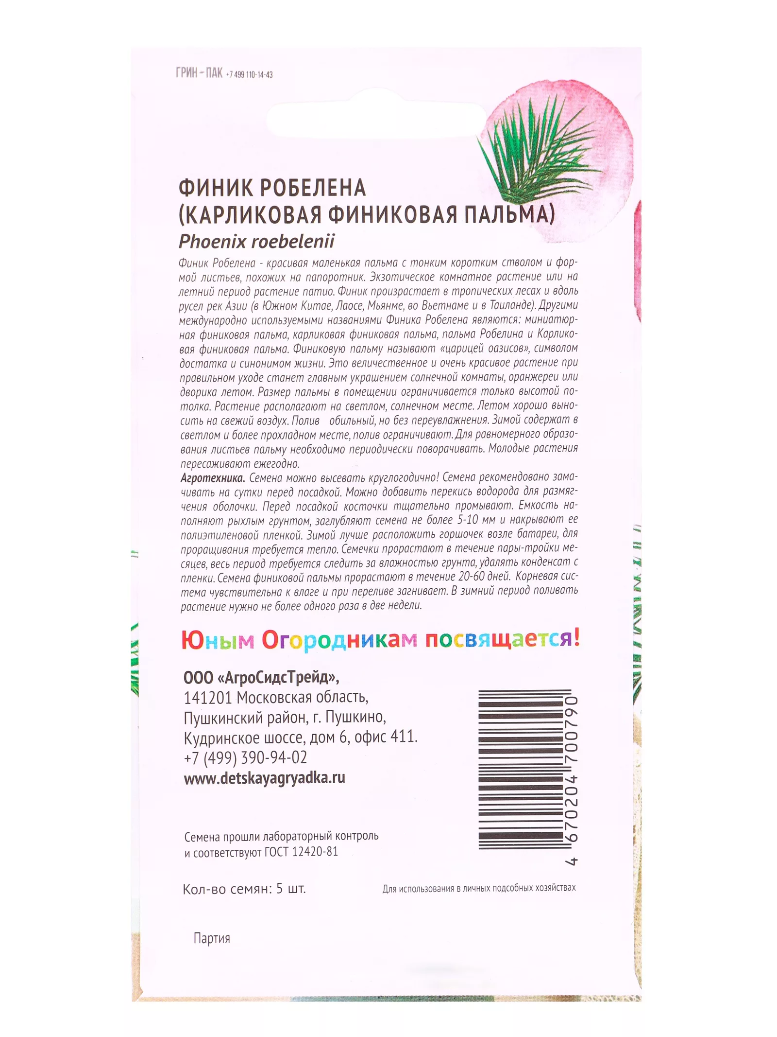 Семена Финик Робелена (Карликовая финиковая пальма) «Детская грядка» 5 шт. — для детская — фото 2