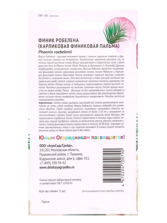 Семена Финик Робелена (Карликовая финиковая пальма) «Детская грядка» 5 шт. — для детская — фото 7
