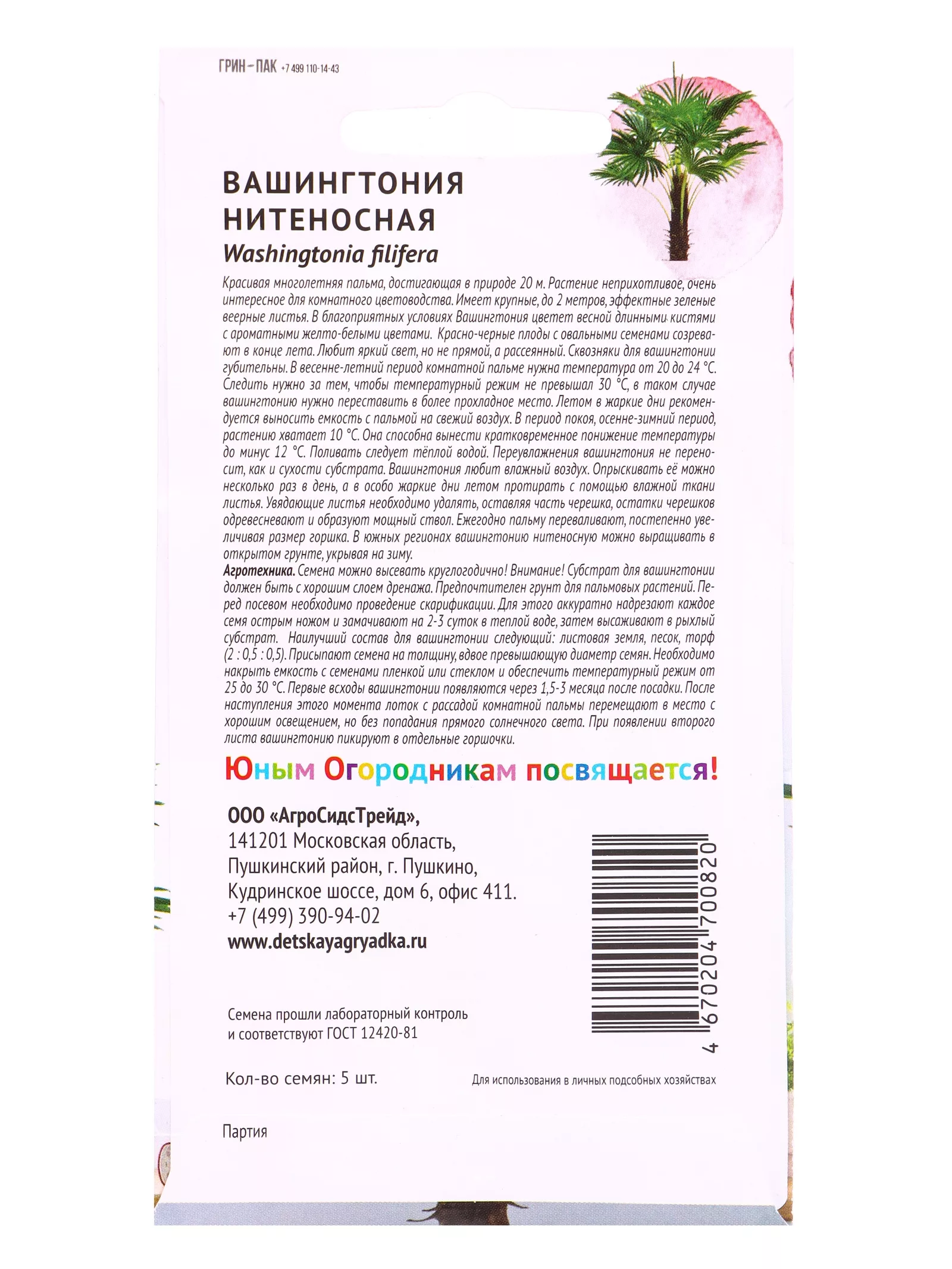 Семена цветов Вашингтония «Нитеносная » «Детская грядка» 5 шт. — для детская — фото 2