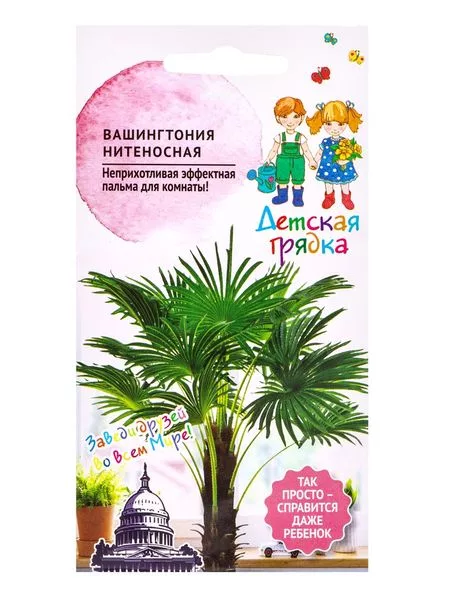 Семена цветов Вашингтония «Нитеносная » «Детская грядка» 5 шт. — для детская — фото 3