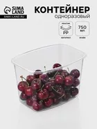 Контейнер одноразовый «Юпласт» — для кухня — фото 9