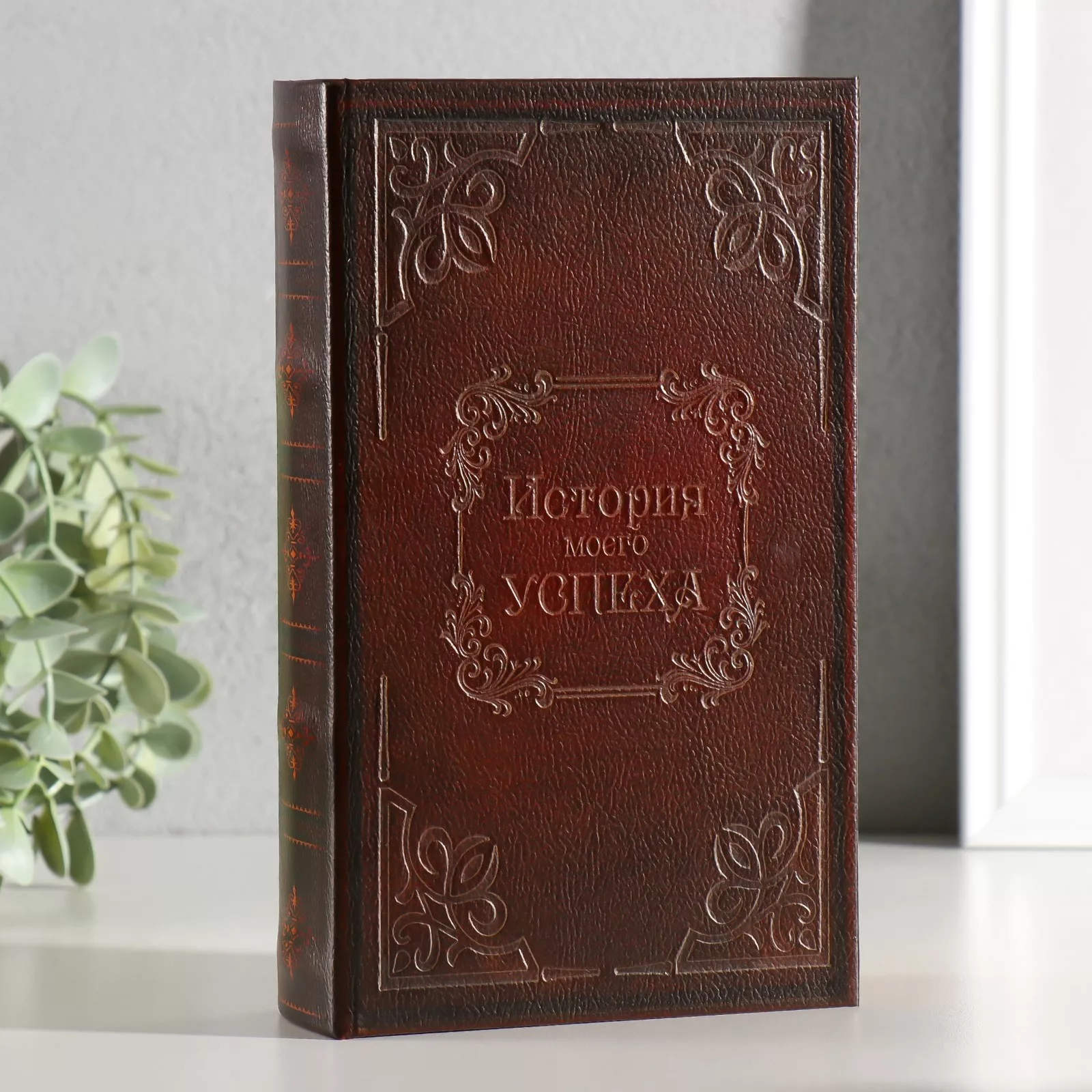 Шкатулка книга - сейф «История моего успеха» — для спальня