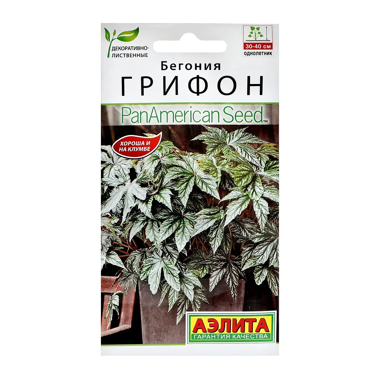Семена цветов бегония — для балкон
