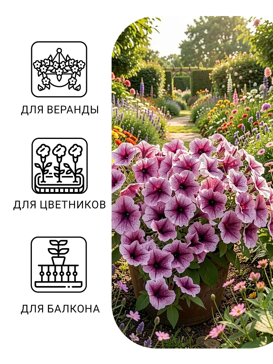 Семена цветов петуния ампельная — для балкон — фото 5