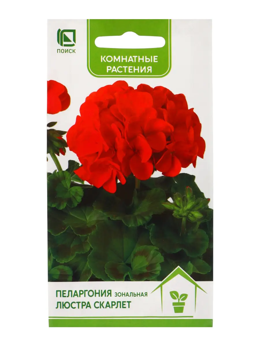 Семена цветов пеларгония зональная — для балкон