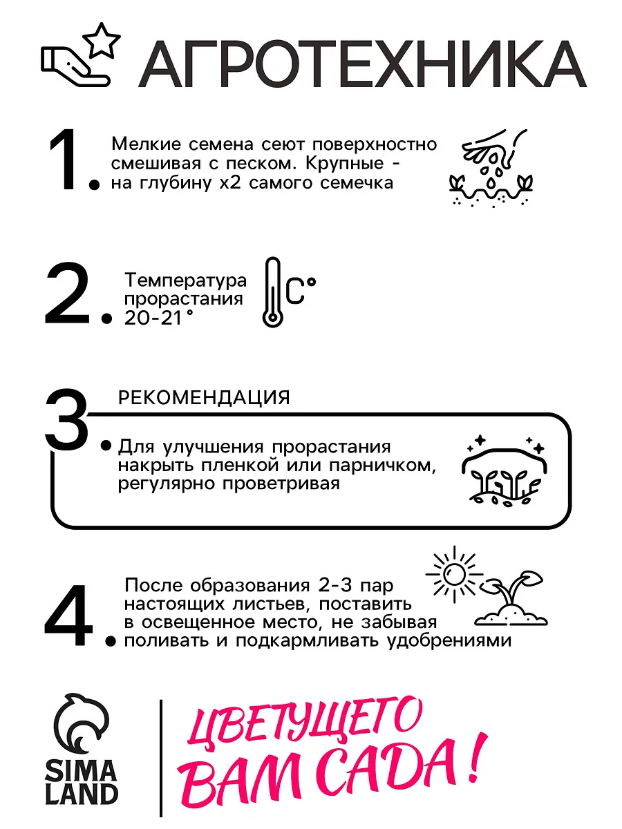 Семена цветов пеларгония зональная — для балкон — фото 4