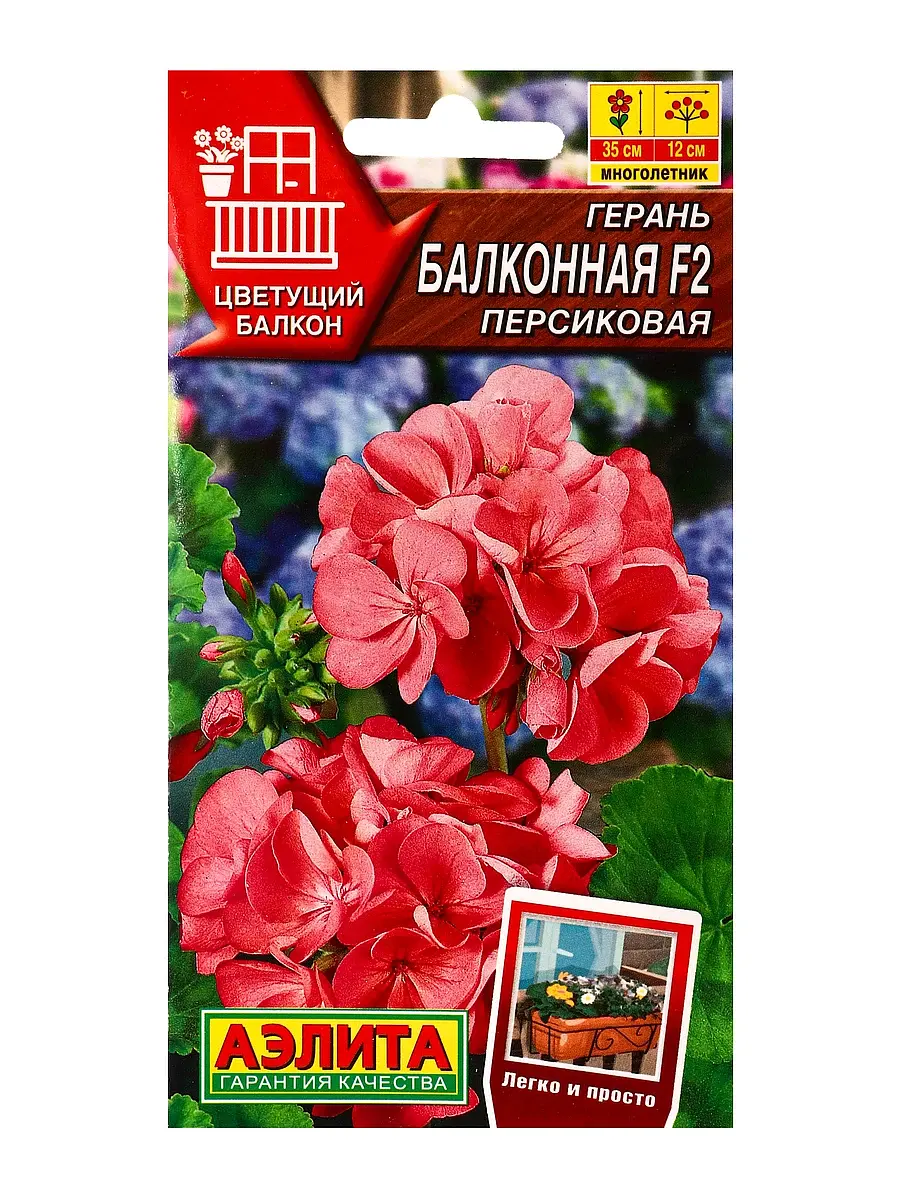 Семена цветов герань балконная персиковая f2 мн цветущий балкон — для балкон