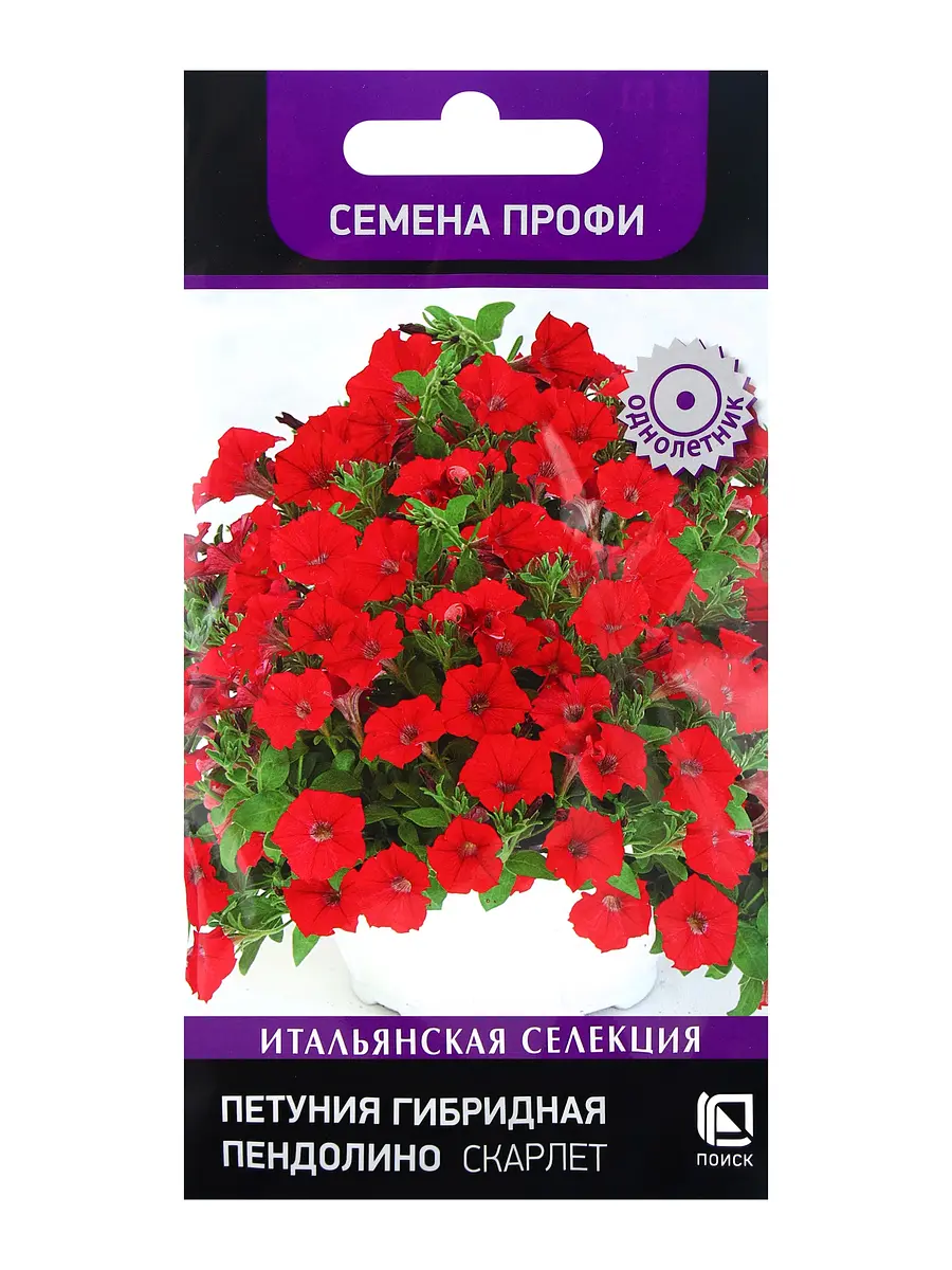 Семена цветов петуния гибридная — для балкон