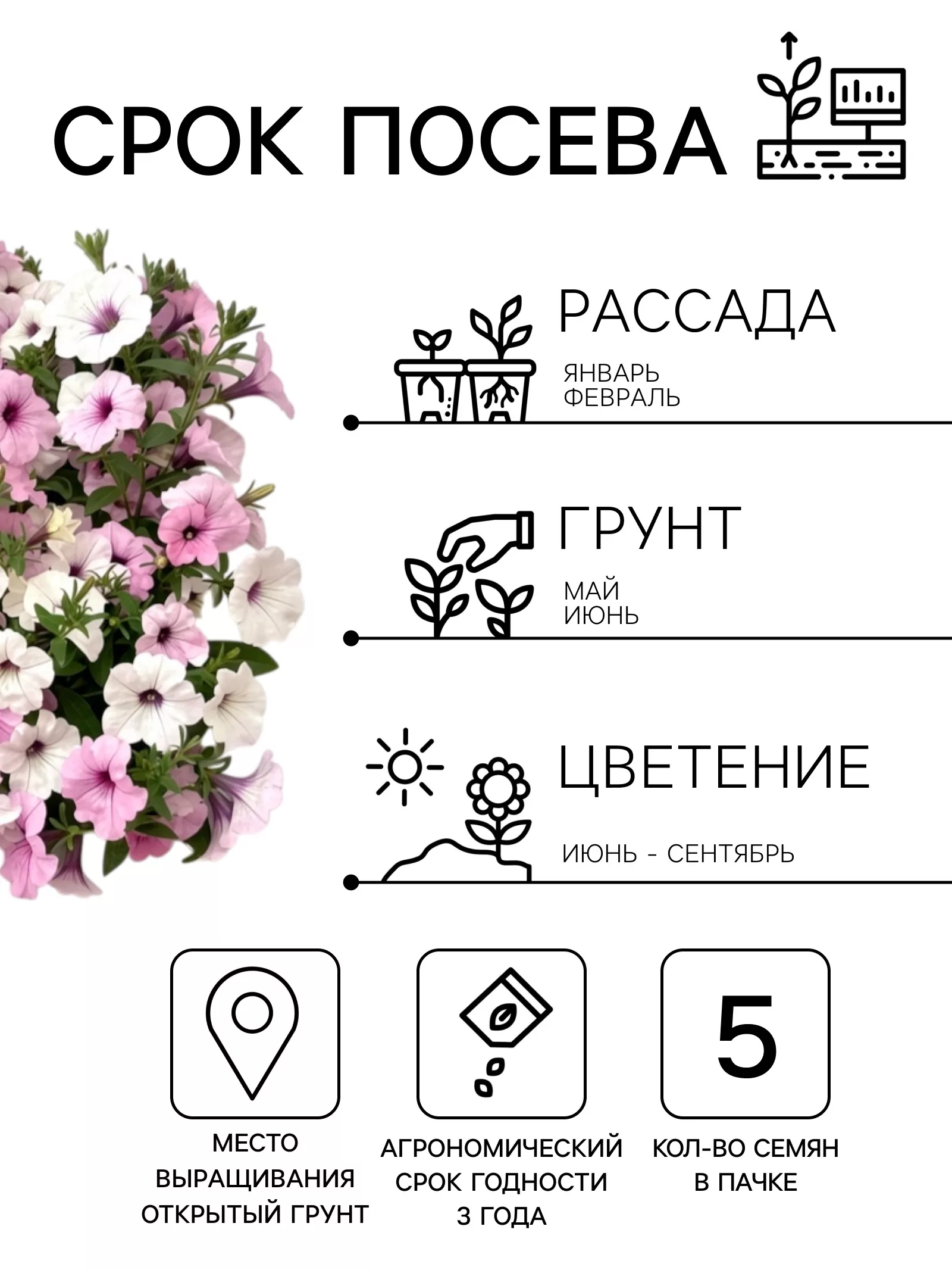 Семена цветов Петуния каскадная «Тайдал Вейв Сильвер» 5 шт. — для балкон — фото 2