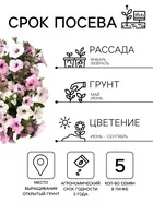 Семена цветов Петуния каскадная «Тайдал Вейв Сильвер» 5 шт. — для балкон — фото 9