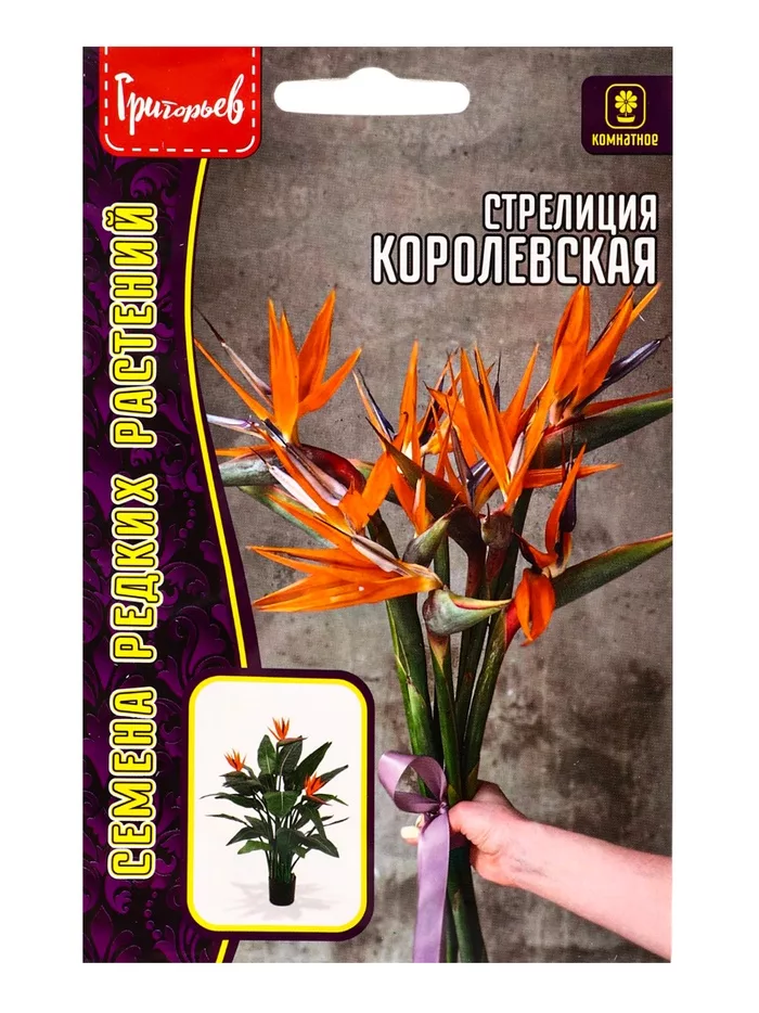 Семена цветов Стрелиция «Королевская» 3 шт. / 12.29 г — для балкон — фото 3