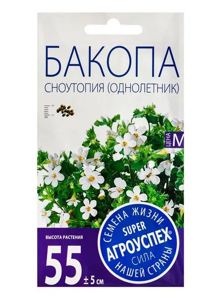 Семена цветов Бакопа «Сноутопия» — для балкон