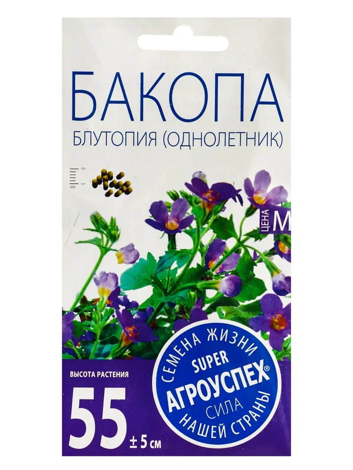 Семена цветов Бакопа «Блутопия» — для балкон — фото 3