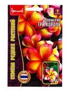 Семена цветов Плюмерия «Три Короля» 3 шт. 12.29 г — для балкон — фото 4