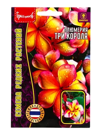 Семена цветов Плюмерия «Три Короля» 3 шт. 12.29 г — для балкон — фото 6