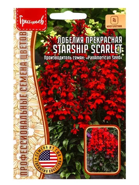 Семена цветов Лобелия Starship Scarlet — для балкон