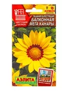 Семена цветов Гацания Балконная мега канары Цветущий балкон — для балкон — фото 4