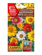 Семена цветов Гацания Балконная мега — для балкон — фото 4