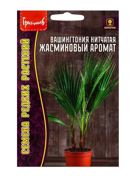 Семена цветов Вашингтония нитчатая «Жасминовый Аромат» 5 шт. 12.29 г — для балкон
