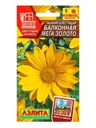 Семена цветов Гацания Балконная мега золото Цветущий балкон — для балкон — фото 4