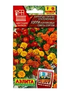 Семена цветов Бархатцы Хэппи карликовые — для балкон — фото 4