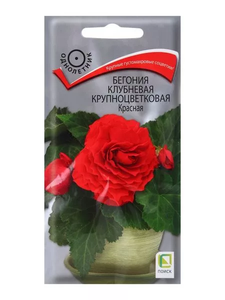 Семена цветов Бегония клубневая крупноцветковая — для балкон