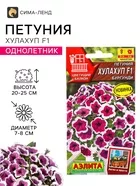 Семена цветов Петуния Хулахуп F1 бургунди (драже) С. Sakata Цветущий балкон — для балкон — фото 4