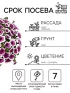 Семена цветов Петуния Хулахуп F1 бургунди (драже) С. Sakata Цветущий балкон — для балкон — фото 5