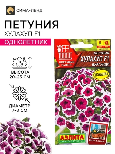 Семена цветов Петуния Хулахуп F1 бургунди (драже) С. Sakata Цветущий балкон — для балкон — фото 6