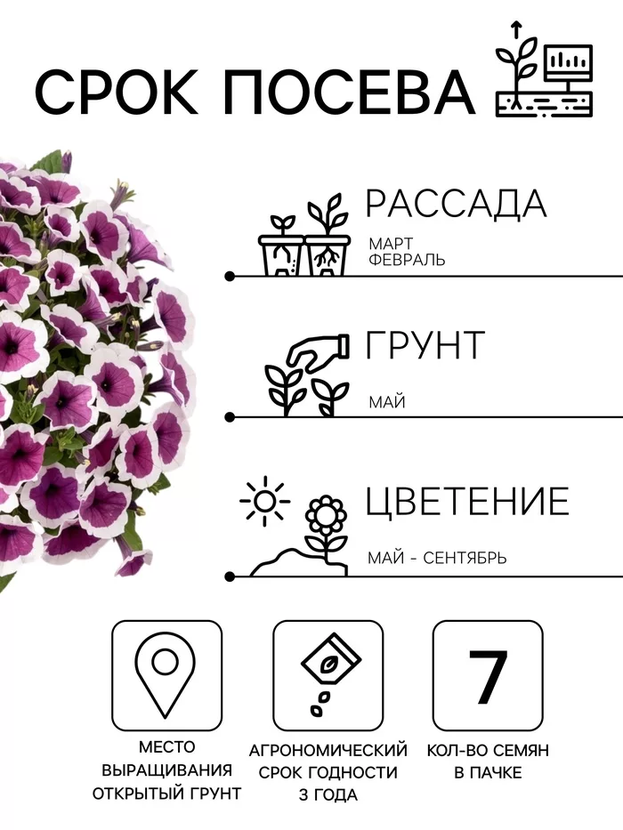 Семена цветов Петуния Хулахуп F1 бургунди (драже) С. Sakata Цветущий балкон — для балкон — фото 7