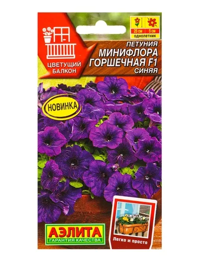 Семена цветов Петуния Минифлора горшечная F1 синяя (драже в пробирке) Цветущий — для балкон — фото 6