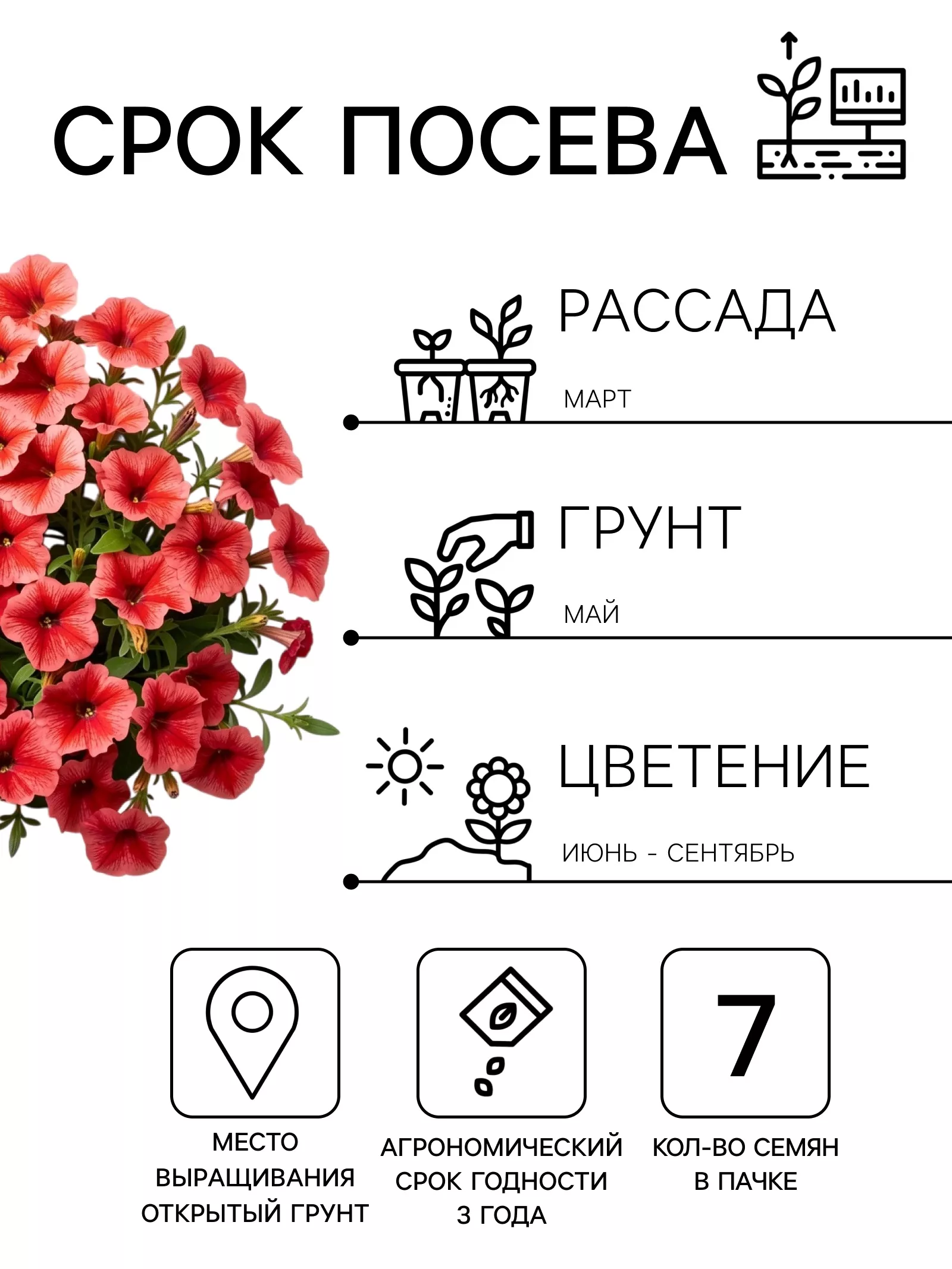 Семена цветов Петуния "Городская компакт" F1 клубничная — для балкон — фото 2