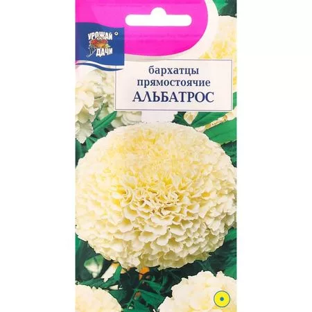 Семена цветов Бархатцы прямостоячие «Альбатрос» — для балкон