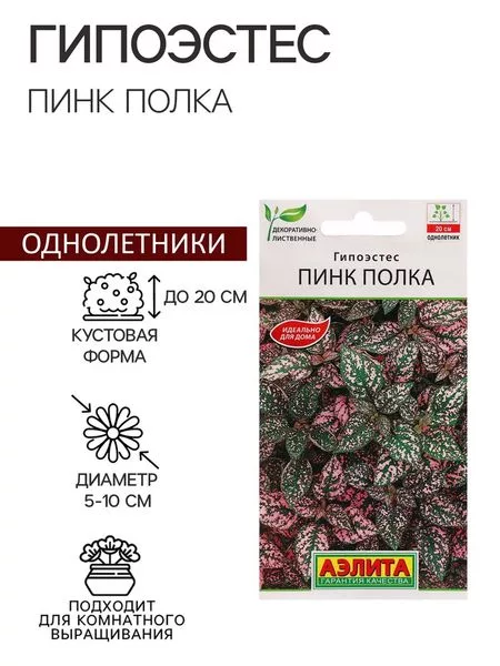 Семена цветов Гипоэстес «Пинк Полка» — для балкон